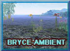to bryce-ambient we go...hey hooo..!
